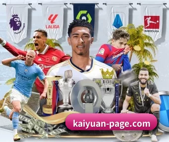 kaiyuan-page.com APP(KY Gaming)